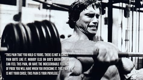 Arnold Schwarzenegger, Bodybuilder, Bodybuilding Wallpapers HD ...