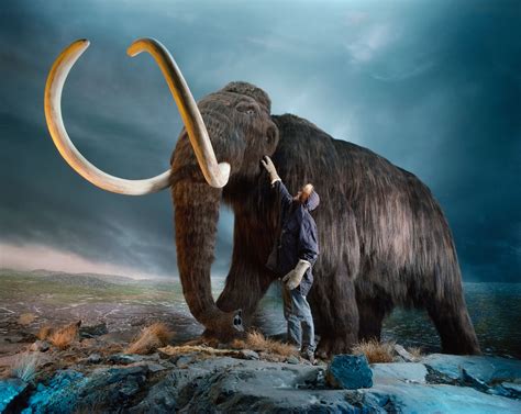 Scientists want to resurrect the woolly mammoth. They just got $15 ...