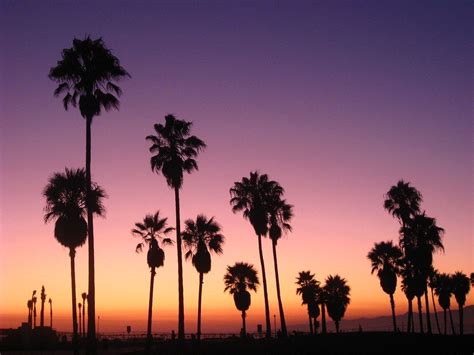 Venice Beach Sunset Wallpapers - Top Free Venice Beach Sunset Backgrounds - WallpaperAccess