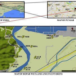 Map of Ropar wetland which shows the sampling collection point (Kaur,... | Download Scientific ...