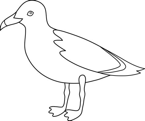 Free Seagull Outline, Download Free Seagull Outline png images, Free ClipArts on Clipart Library