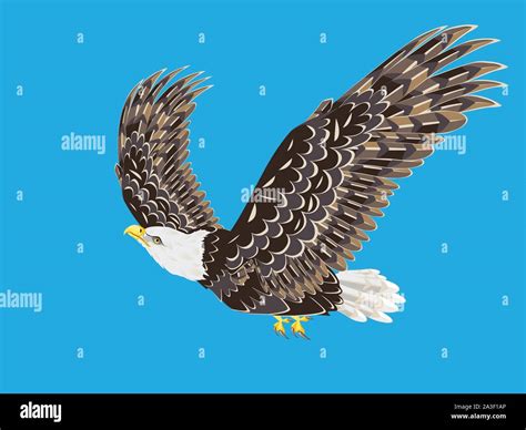 Cartoon stylized bald eagle decorative design illustration Stock Vector ...