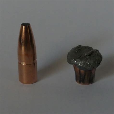 375 Ruger Recoil | AfricaHunting.com