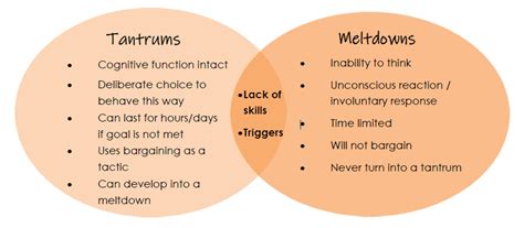 Managing Tantrums and Meltdowns - SPD