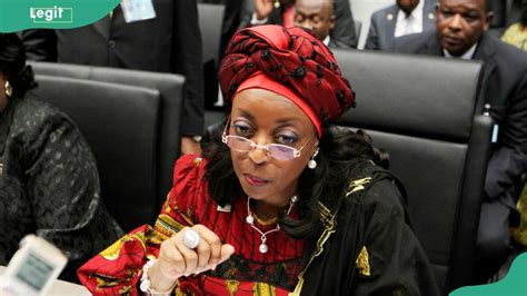 Diezani Alison-Madueke’s biography and career: age, net worth, where is ...