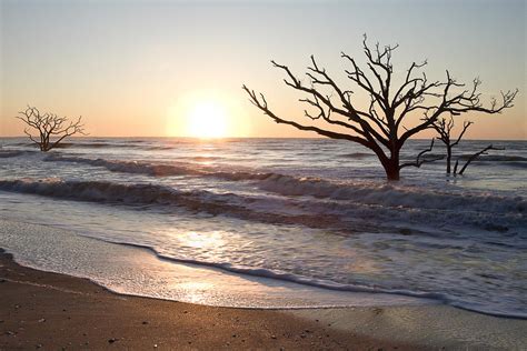 Quiet Sunrise at Botany Bay Photograph by Bill Swindaman | Fine Art America