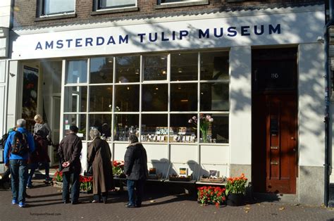 Our pick for the best Amsterdam museum? The Amsterdam Tulip Museum ...