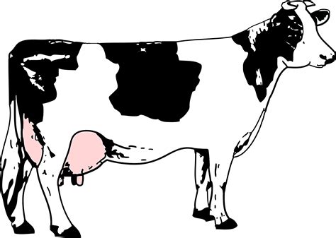 Holstein Friesian cattle Beef cattle Black and white Dairy cattle Clip art - cow png download ...