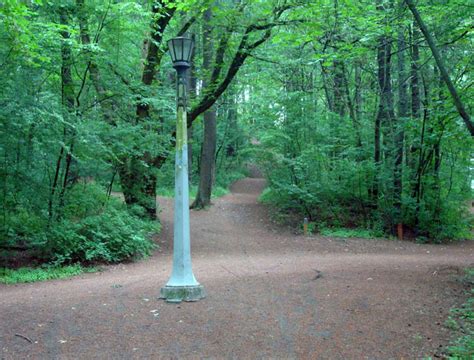 Portland Volcano List: Active and Extinct Volcanoes, From Mount Hood to Mount Tabor – Quirky ...