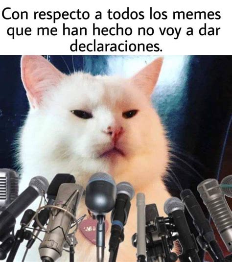 Top 24 Memes divertidos gatos | Memes divertidos, Memes de tios, Meme gato