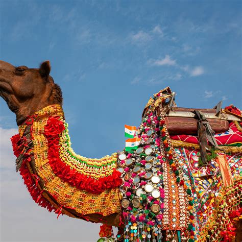 GRAND TOUR OF RAJASTHAN - Low Fare India