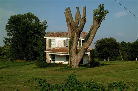 A tree and an old farmhouse | A vacant farmhouse and a huge,… | Flickr