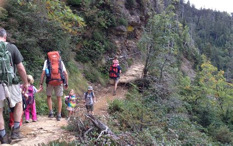 Hiking to the top of Mt. LeConte with SIX kids | Simply Natural Mom