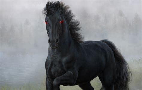 Black Horse Wallpapers - 4k, HD Black Horse Backgrounds on WallpaperBat