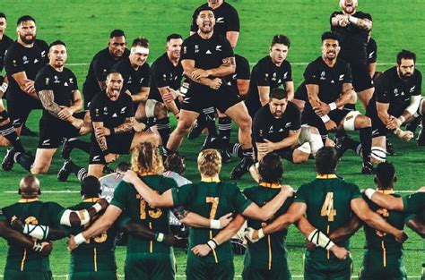 'Are the All Blacks new World Cup champions?': Springboks fans ...