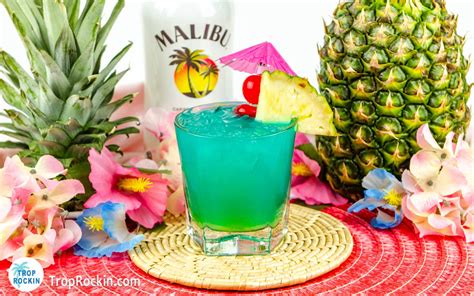 Easy Malibu Rum Drink Recipes | Besto Blog