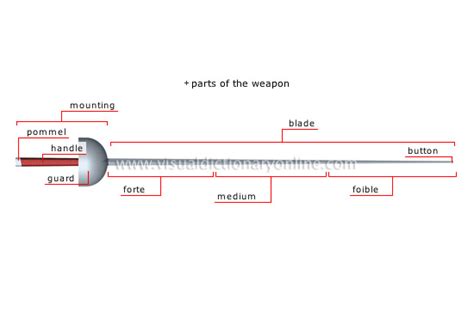 SPORTS & GAMES :: COMBAT SPORTS :: FENCING :: FENCING WEAPONS [2] image - Visual Dictionary Online