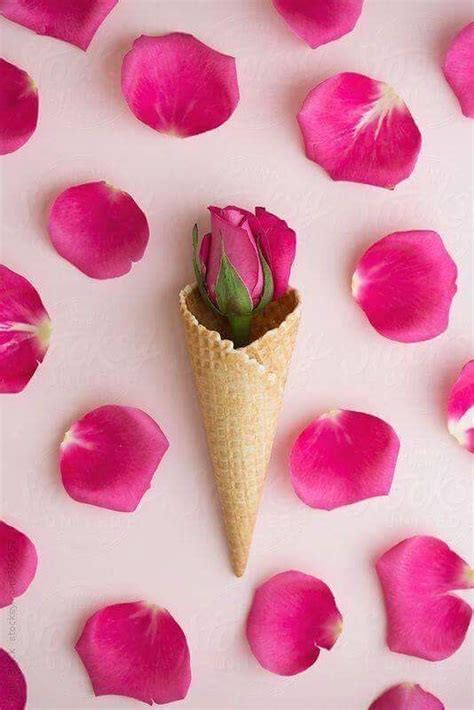 Pin by Tanya Tatiana on Image | Ice cream flower, Ice cream cone, Flower cones