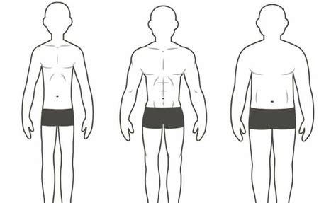 The Three Different Body Types and How They Affect Your Training