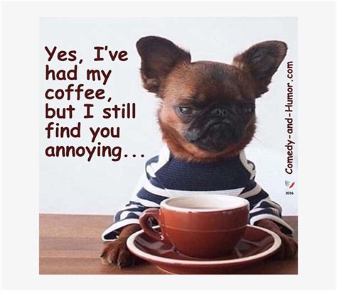 Grumpy Dog With Coffee - Doesn T Like Coffee Hipster Meme - Free ...