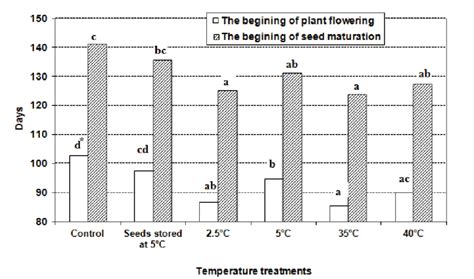 The effect of dry seed storage at 25°C (control) and low temperature ...