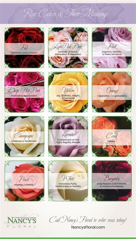 Roses And Their Different Meanings