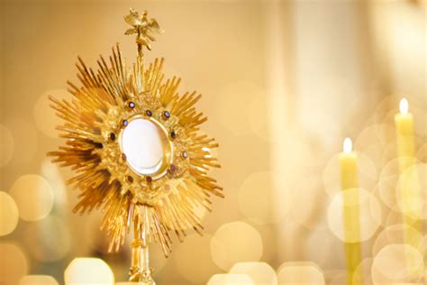 Adoration Prayer - CatholicBrain.com