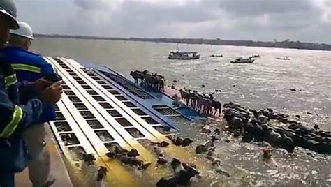 Thousands of Cattle May Have Died After Livestock Carrier Capsizes Pierside in Brazil – gCaptain