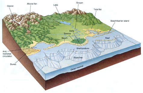 depositional environments Diagram | Quizlet