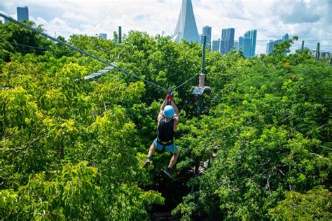 You Can Soar Through The Trees At This Zipline Adventure Park In Miami - Secret Miami