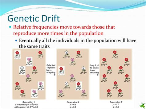 PPT - Population Genetics PowerPoint Presentation, free download - ID ...