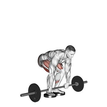 Barbell Romanian Deadlift From Deficit - Guide, Benefits, and Form