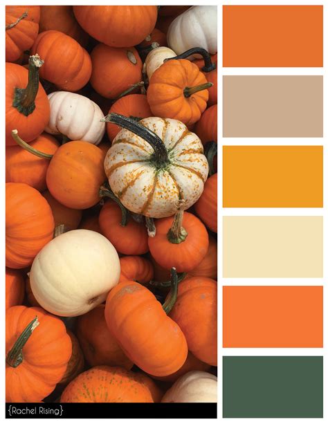 Color Swatches | rachelrisingdesign | Color swatches, Fall color palette, Paint color schemes