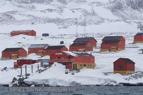 Seabourn Quest Cruise to Antarctica: Hope Bay and Esperanza Base ...