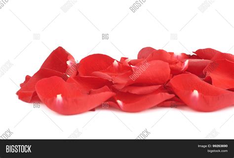 Red Rose Petals Image & Photo (Free Trial) | Bigstock