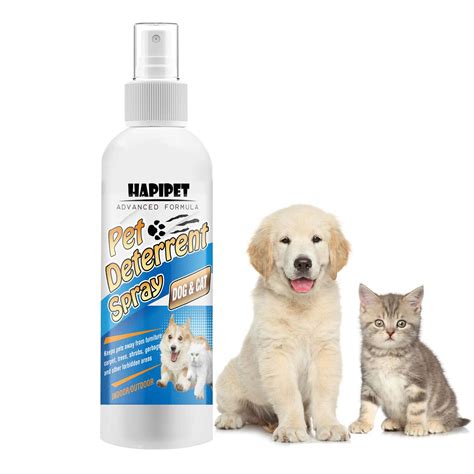 Cat Deterrent Spray Pet Corrector Best Offer - CatPremier.com