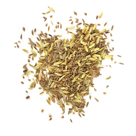 Fennel Aniseed Loose Leaf Tisane – BREW- Tea & Coffee Merchants