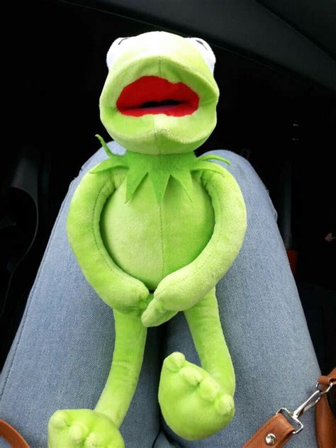 sesame street kermit plushie, Hobbies & Toys, Collectibles ...