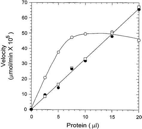 The reversibility of carbamoyl phosphate synthetase. The rate of... | Download Scientific Diagram