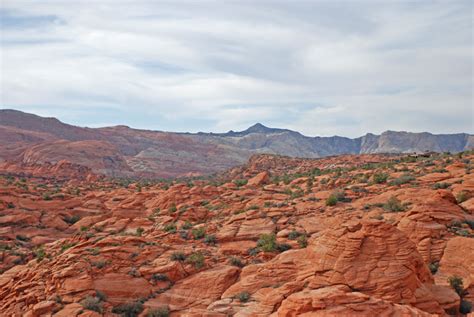 Snow Canyon State Park Petroglyphs - Hike St George