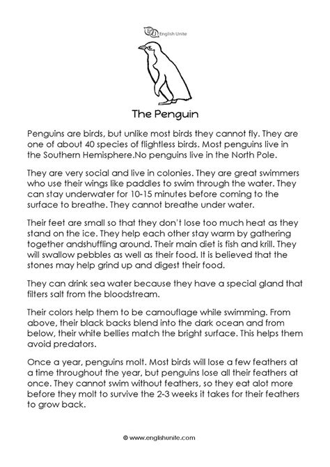 English Unite - Short Story - The Penguin