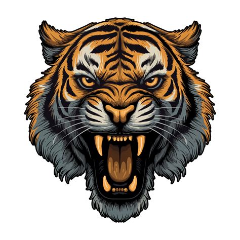 Angry Tiger Head 26911309 PNG