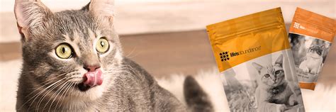 Premium Cat Treats to Promote Feline Health