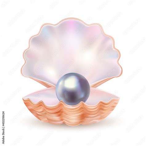 Pearl shell made in realistic style opened and shining. Clam shell with ...