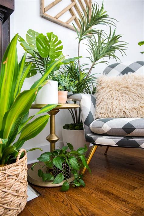 How to Make Faux Plants Look Real | HGTV