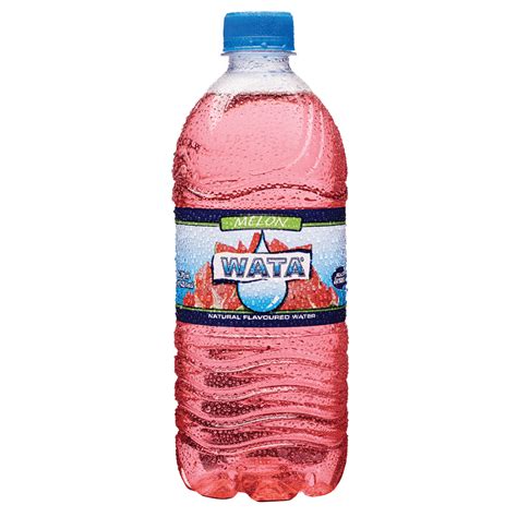 WATA MELON 600ML – Carib Import & Export Inc.