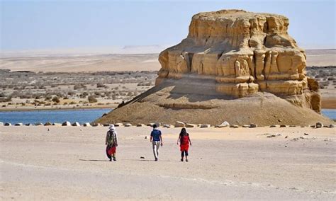 Wadi El Rayan National Park 2024/2025 - Egypt Fun Tours