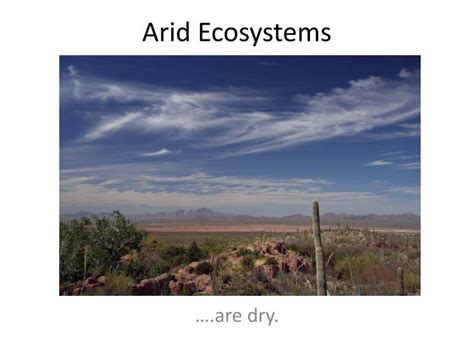 PPT - Arid Ecosystems PowerPoint Presentation, free download - ID:2064655