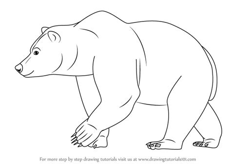 Learn How to Draw a Brown Bear (Wild Animals) Step by Step : Drawing Tutorials