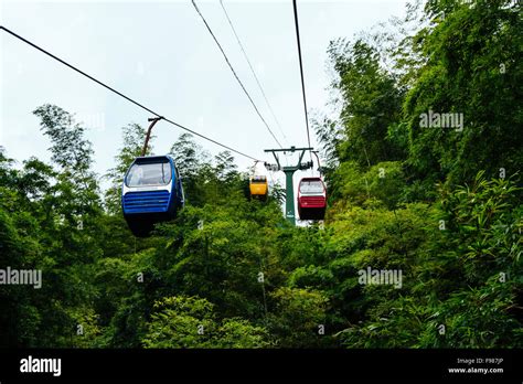 Yibin, Sichuan province, China - Beautiful view at Shunan Bamboo Sea national park Stock Photo ...